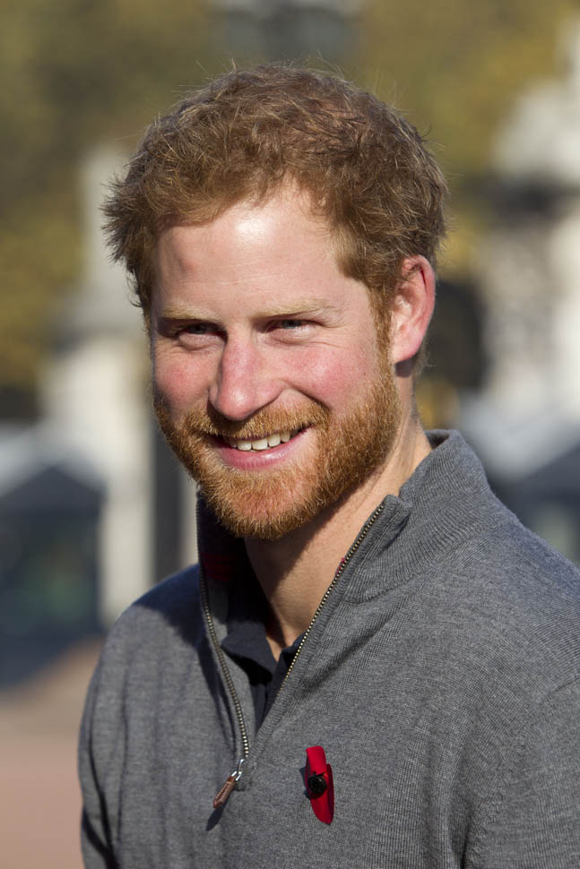 Prince Harry Net Worth