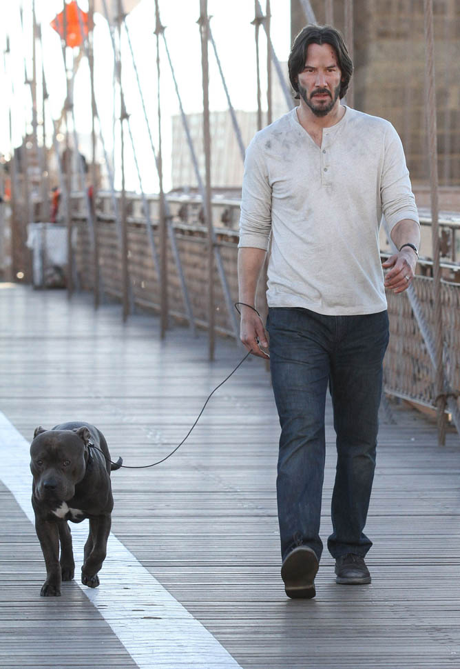 Keanu Reeves not sad and with a dog on the set of John Wick 2 in NYC