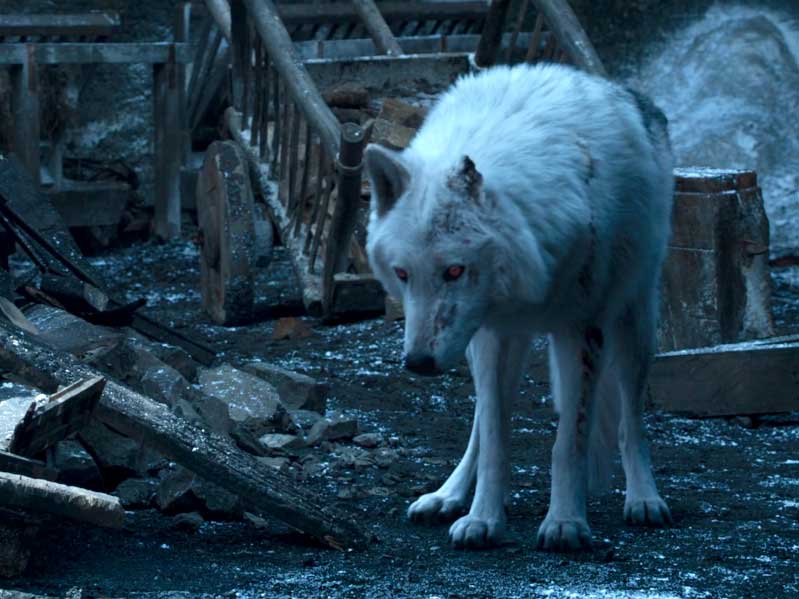 CGI prevented Jon Snow from proper goodbye with Ghost and 