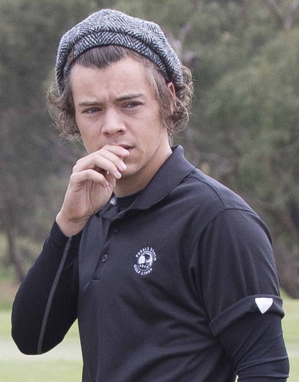 Harry Styles plays golf and carries his own bag|Lainey Gossip ...