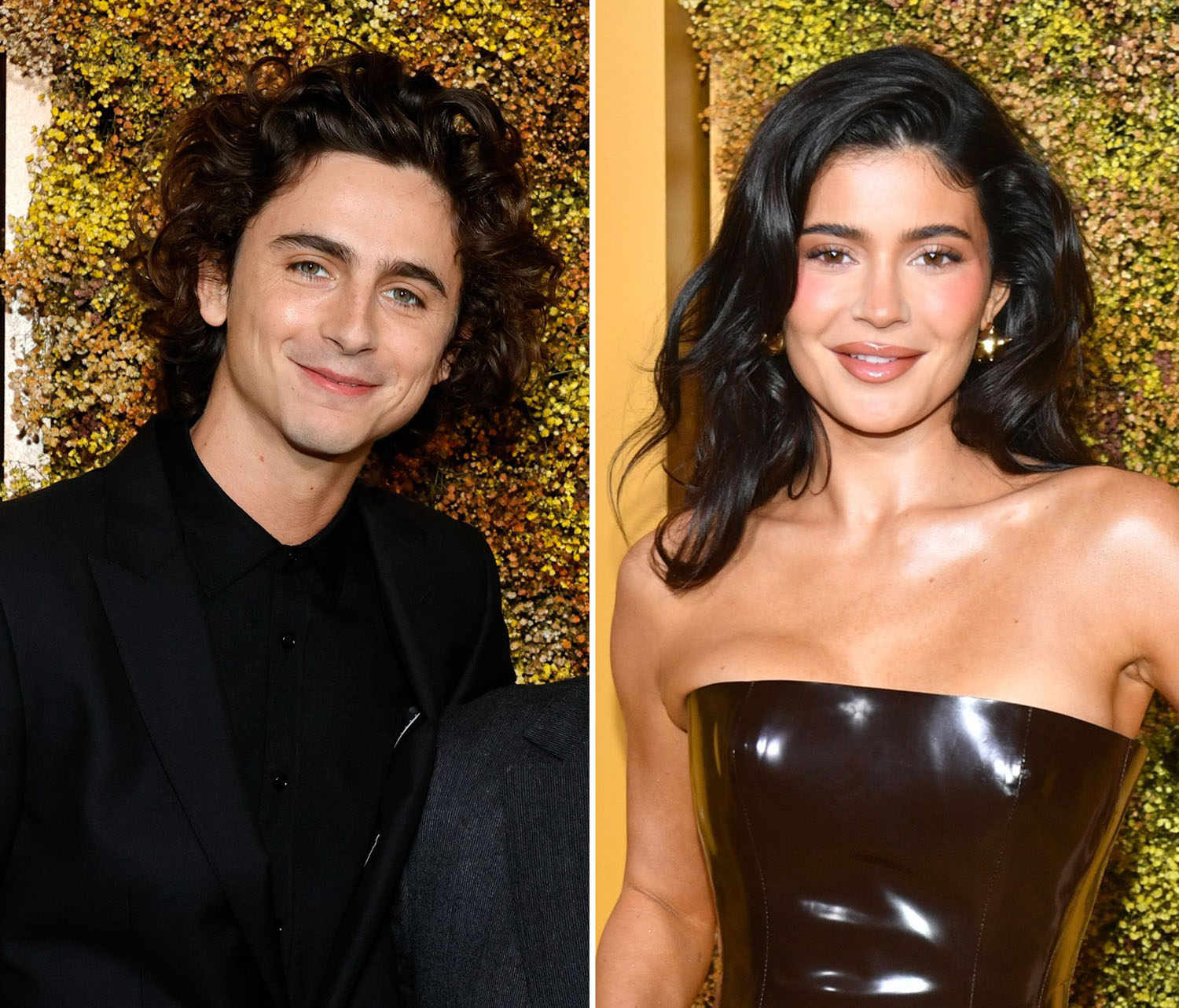 What is Kylie Jenner's style and did Timothée Chalamet scab at the WSJ ...