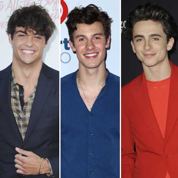 A Noah Centineo, Shawn Mendes, and Timothee Chalamet hair-off