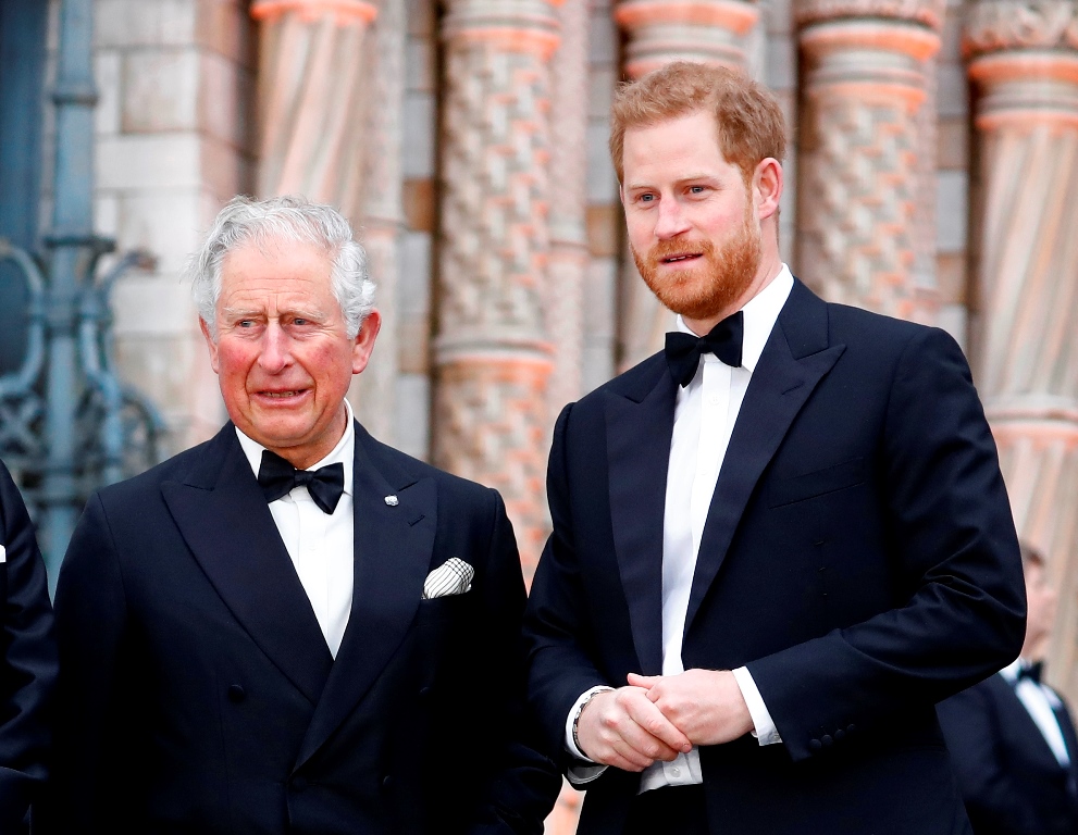 Prince Harry revealed the innermost workings of the British royal ...