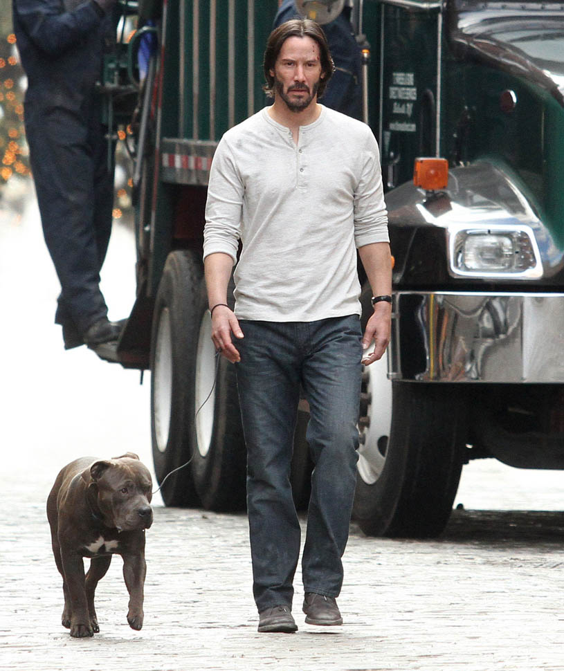 Keanu Reeves not sad and with a dog on the set of John Wick 2 in NYC ...