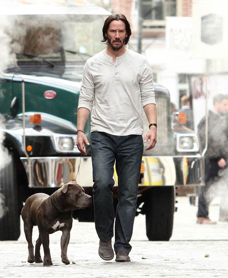 Keanu Reeves not sad and with a dog on the set of John Wick 2 in NYC ...
