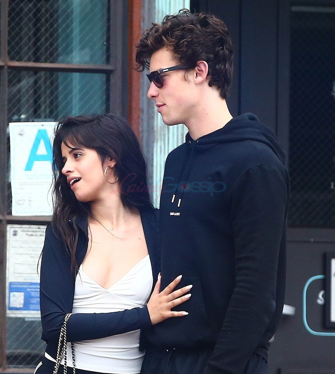 Shawn Mendes and Camila Cabello look very much together during Sunday brunch1075 x 1200
