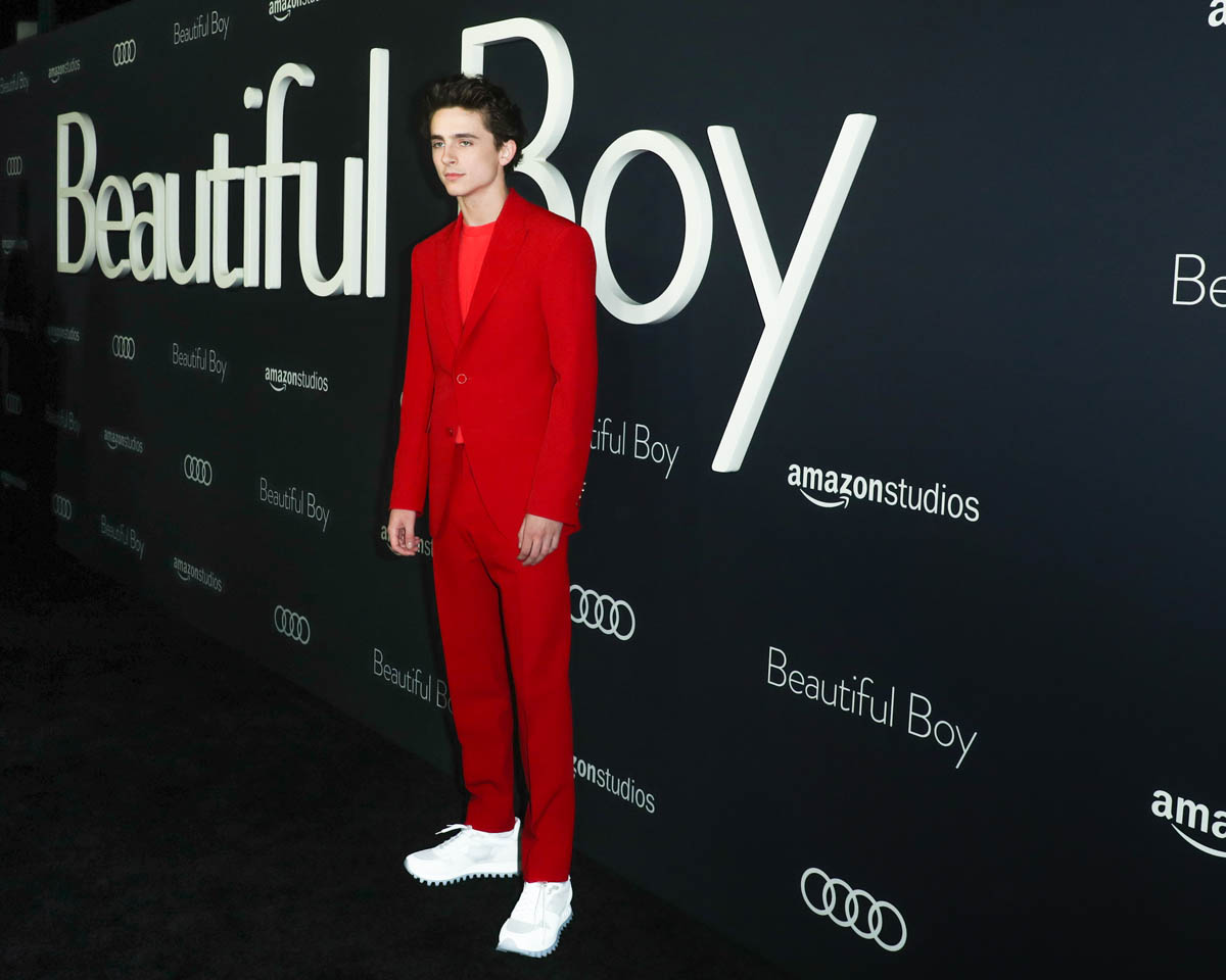 Timothée's monochromatic Louis Vuitton suit at a Beautiful Boy