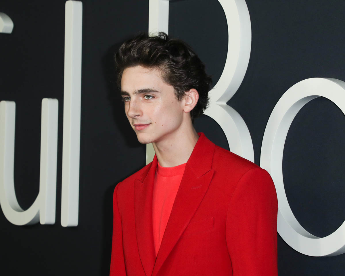 Timothée's monochromatic Louis Vuitton suit at a Beautiful Boy, How  Timothée Chalamet Became One of the Best-Dressed Stars of Our Generation