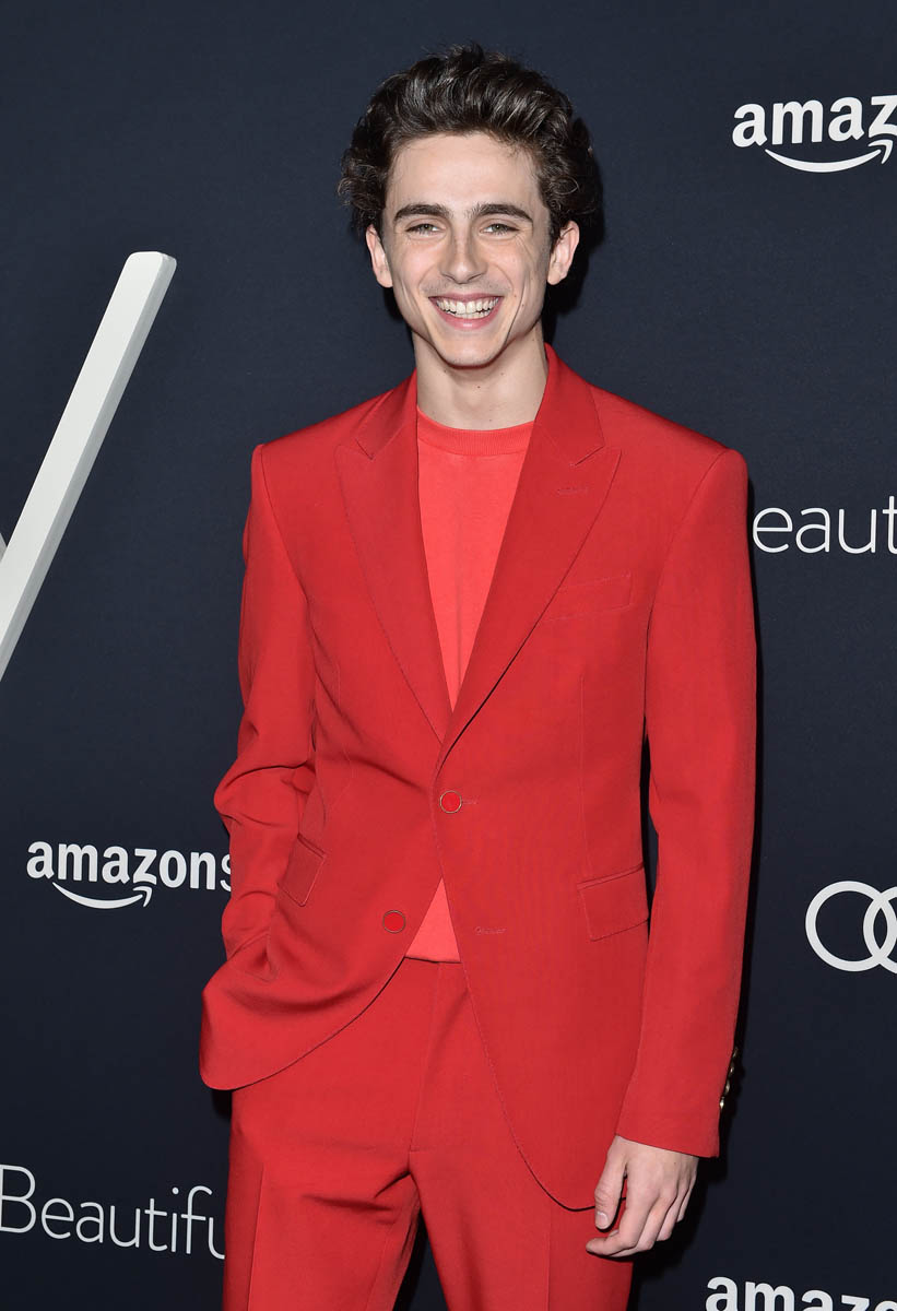 Timothée's monochromatic Louis Vuitton suit at a Beautiful Boy