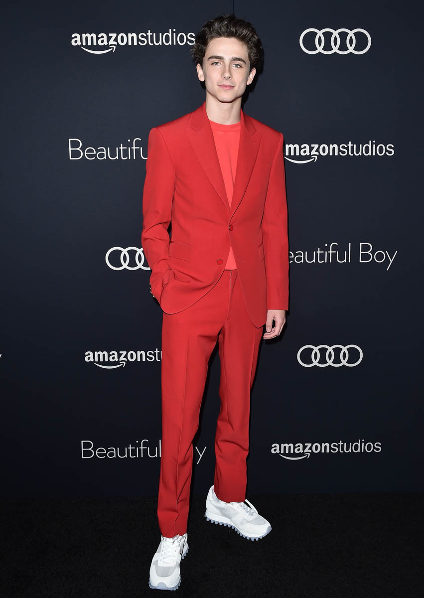 Here Is Timothée Chalamet in a Very Good Red Louis Vuitton Suit