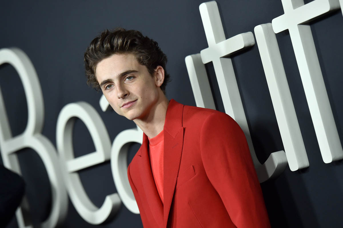 Here Is Timothée Chalamet in a Very Good Red Louis Vuitton Suit -  Fashionista