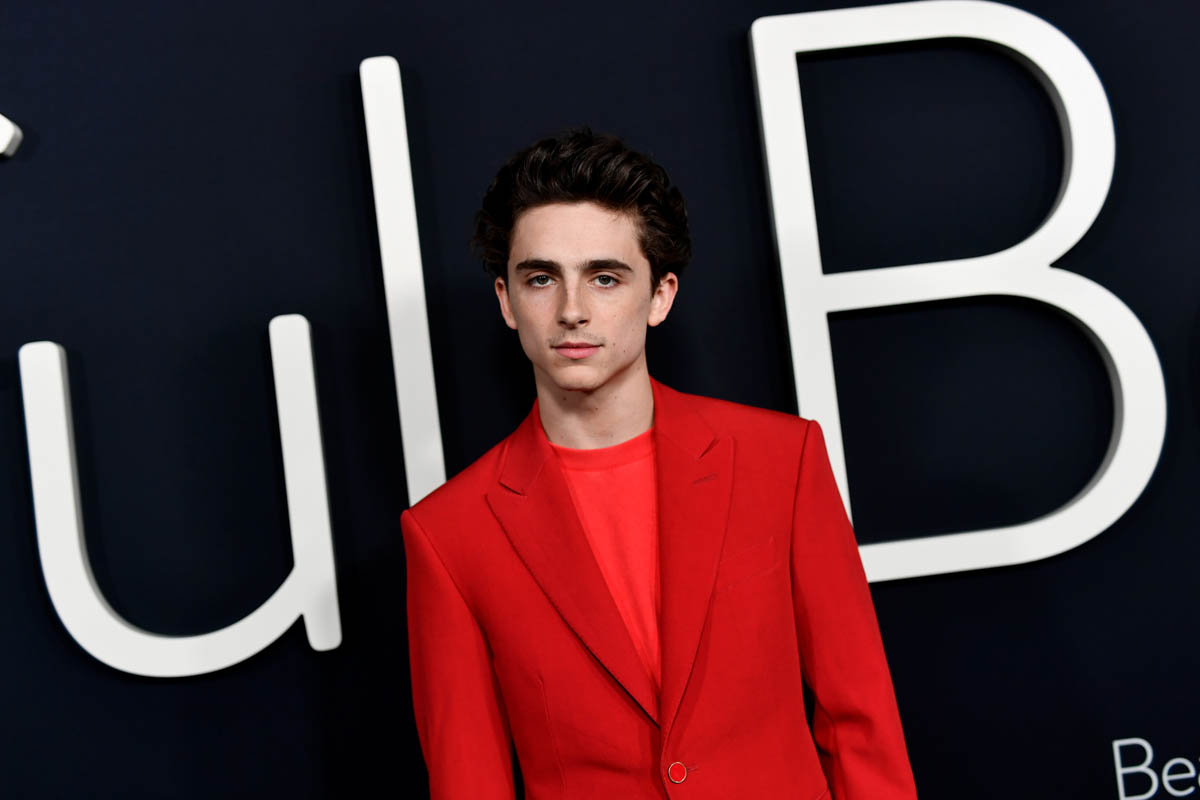 Timothée's monochromatic Louis Vuitton suit at a Beautiful Boy