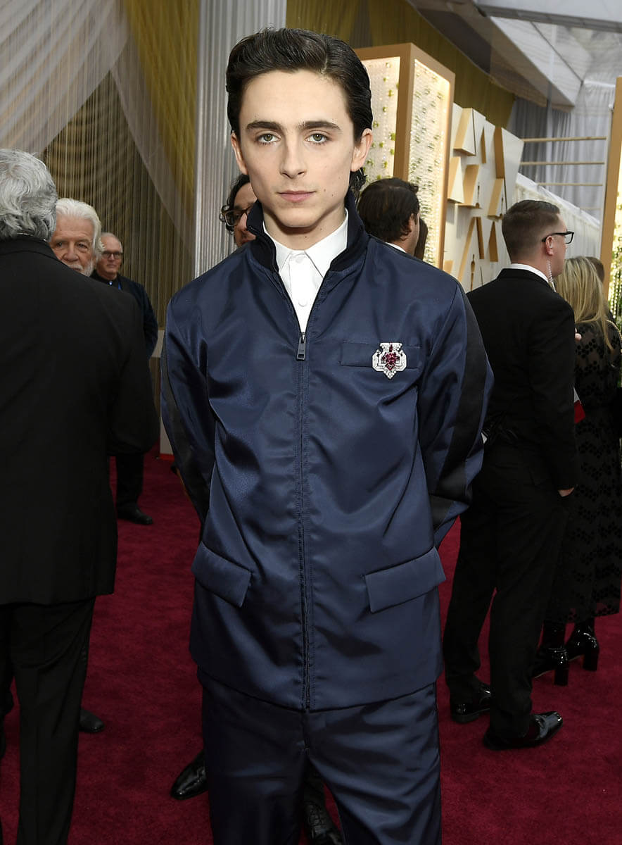 Timothée Chalamet Rejects the Oscars Dress Code With an Unexpected Look