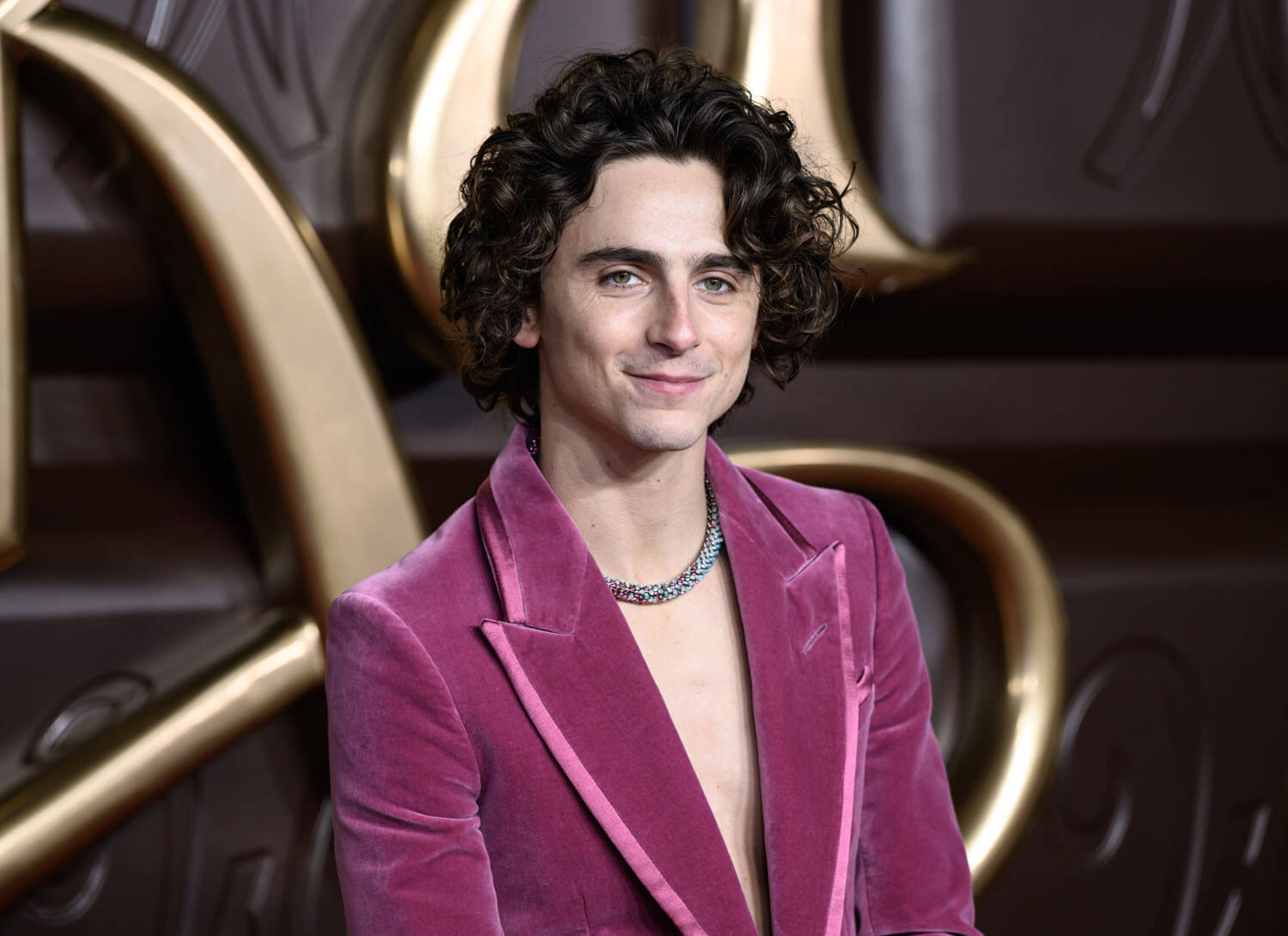 Timothee Chalamet Dressed Appropriately Wonka-esque In A Raspberry ...