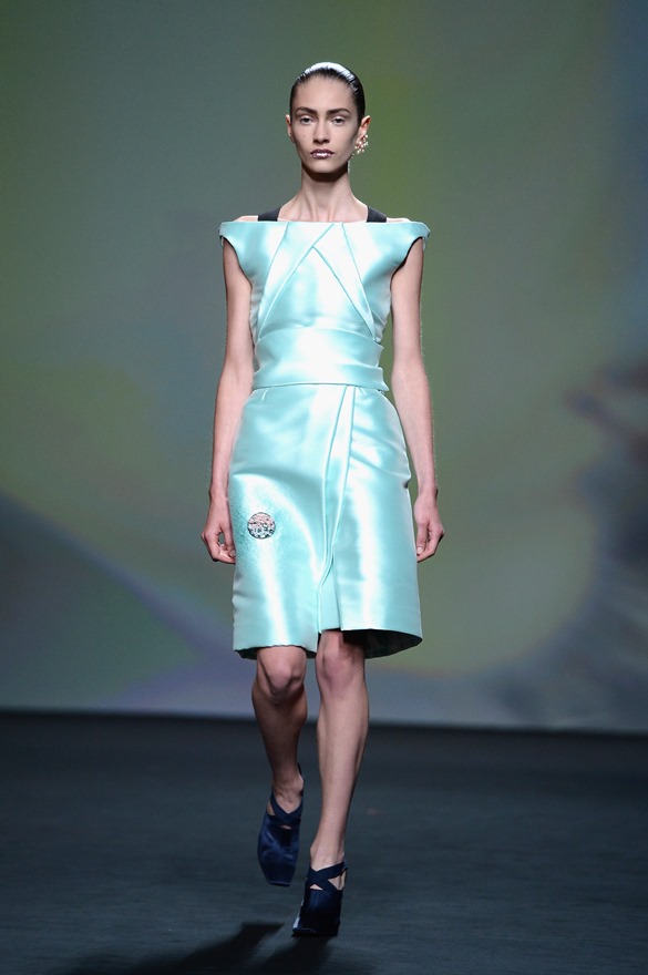 Paris Fashion Week: Christian Dior Haute Couture F/W 2013/2014|Lainey ...